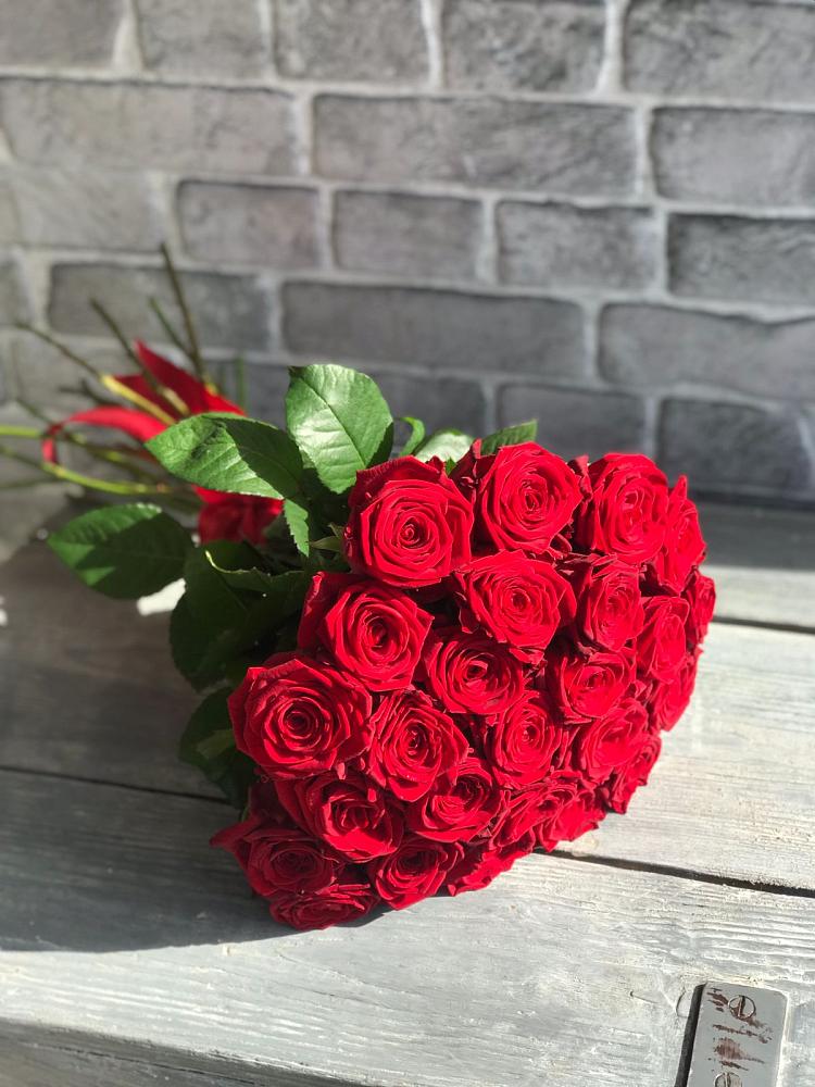 Красные розы Фридом в Петушках Букет Красные розы Фридом в Петушках