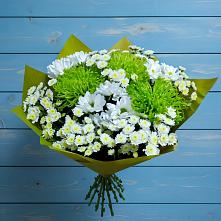 Букет скромность  #REPLACE_PRED# Петушках Букет цветов из:  Хризантемы #REPLACE_PRED# Петушках