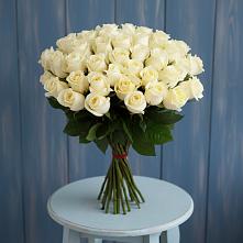 51 Белая роза Эдлесс Лав #REPLACE_PRED# Петушках Букет 51 Белая роза Эдлесс Лав #REPLACE_PRED# Петушках