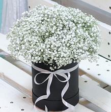 Цветочная композиция из Гипсофила в шляпной коробке #REPLACE_PRED# Петушках