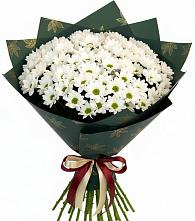 Букет море ромашек в Петушках Букет цветов из:  Хризантемы в Петушках
