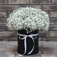 Композиция коробка гипсофил #REPLACE_PRED# Петушках Цветочная композиция из Гипсофила в шляпной коробке #REPLACE_PRED# Петушках