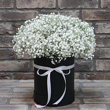 Композиция коробка гипсофил в Петушках Цветочная композиция из Гипсофила в шляпной коробке в Петушках