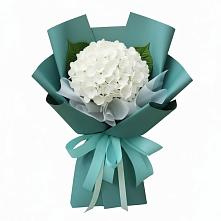 Букет Лёгкое облако в Петушках Букет цветов из:  Гортензия в Петушках